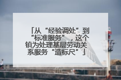 从“经验调处”到“标准服务”，这个镇为处理基层劳动关系服务“造标尺”